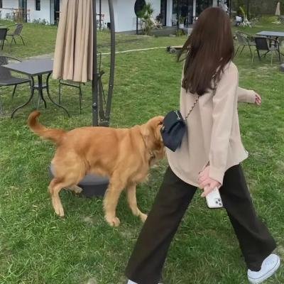 大宋疑云